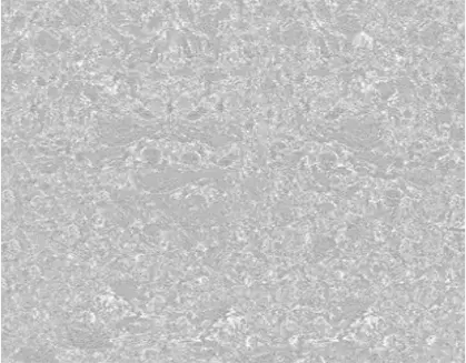 Grey Marble